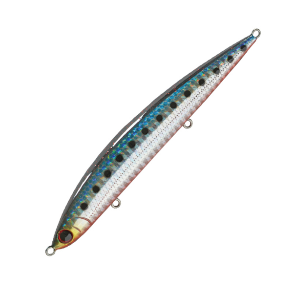 アスリート　１２ＳＳＰ(ＳＲＩ　アカハライワシ)